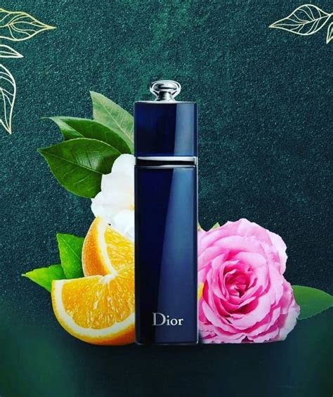 dior addict woman edp|dior addict edp 100 ml.